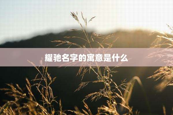 耀驰名字的寓意是什么