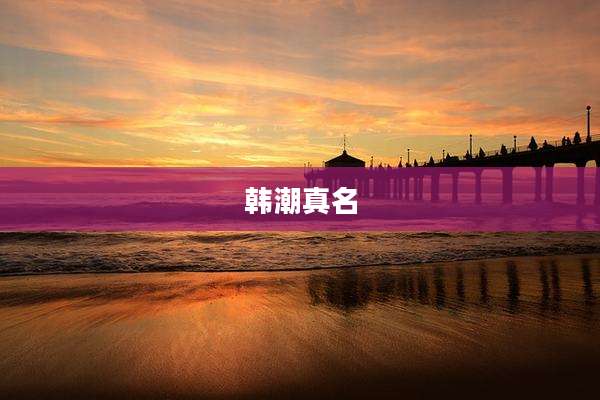 韩潮真名