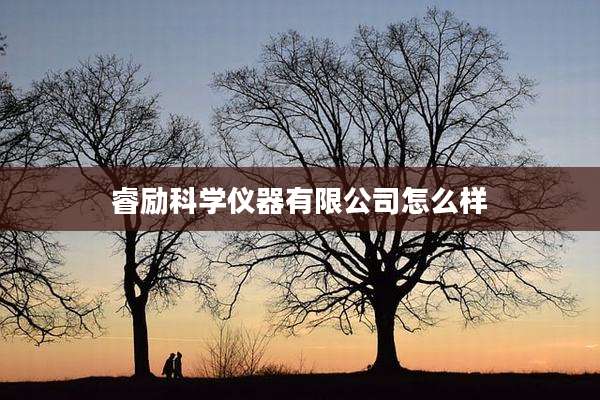 睿励科学仪器有限公司怎么样