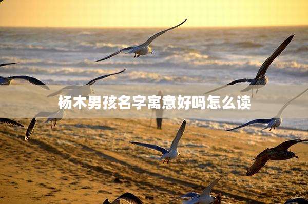 杨木男孩名字寓意好吗怎么读