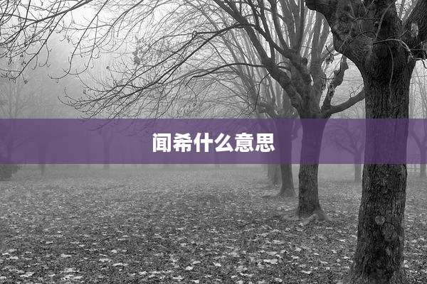 闻希什么意思