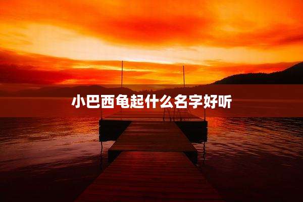 小巴西龟起什么名字好听