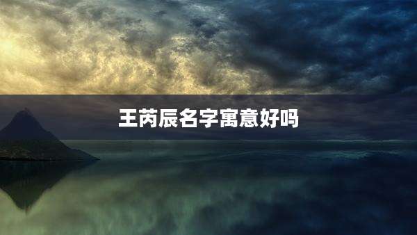王芮辰名字寓意好吗