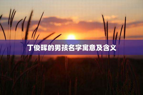丁俊晖的男孩名字寓意及含义