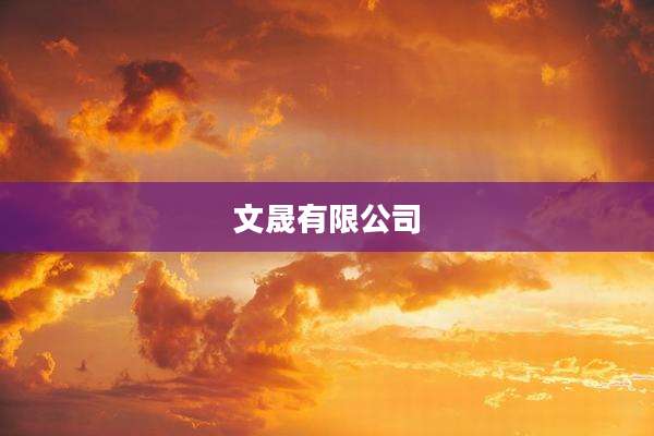 文晟有限公司