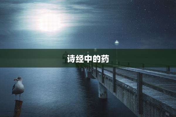 诗经中的药