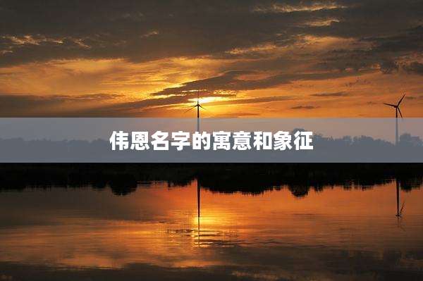伟恩名字的寓意和象征