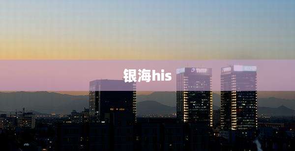 银海his