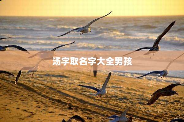 汤字取名字大全男孩
