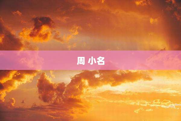 周 小名
