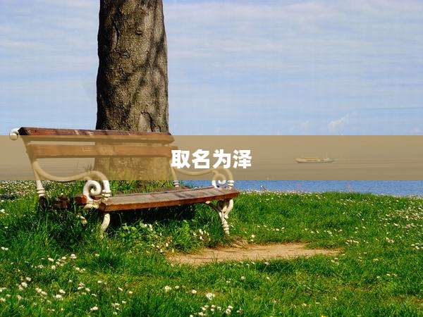 取名为泽