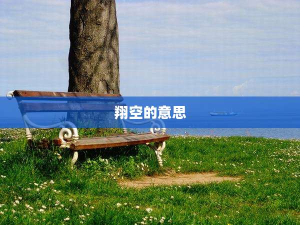 翔空的意思