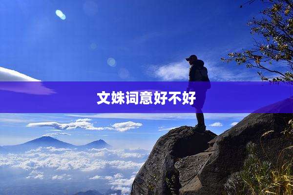 文姝词意好不好