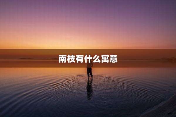 南枝有什么寓意