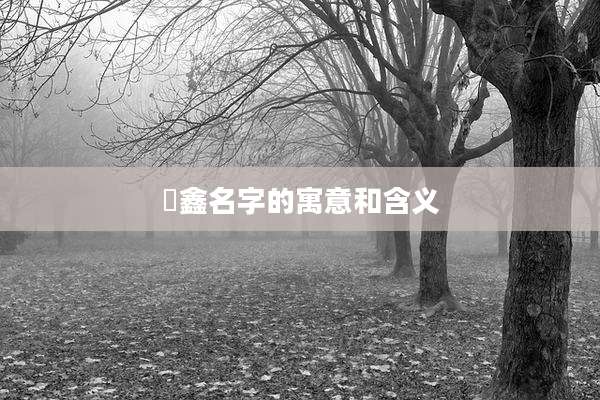 璟鑫名字的寓意和含义