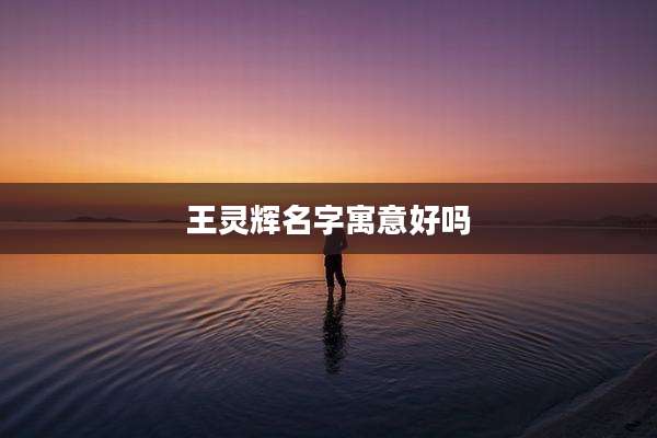 王灵辉名字寓意好吗