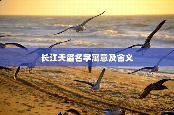 长江天玺名字寓意及含义