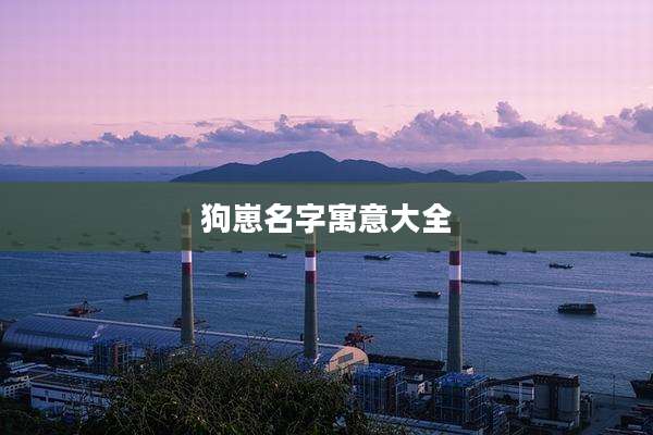 狗崽名字寓意大全
