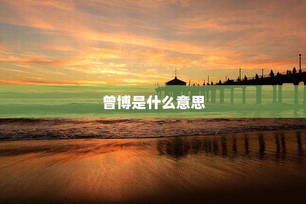 曾博是什么意思