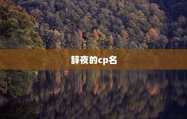辞夜的cp名