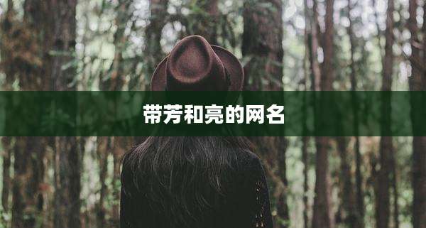 带芳和亮的网名