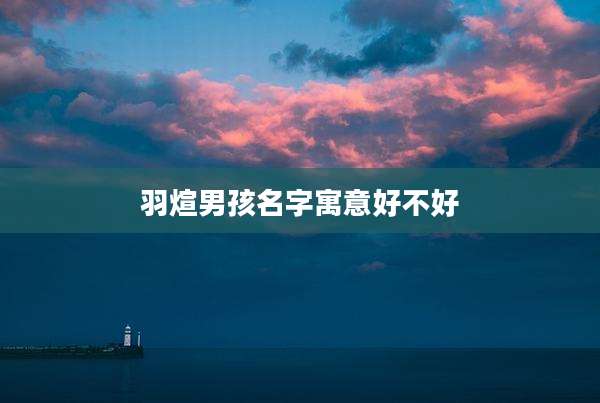 羽煊男孩名字寓意好不好