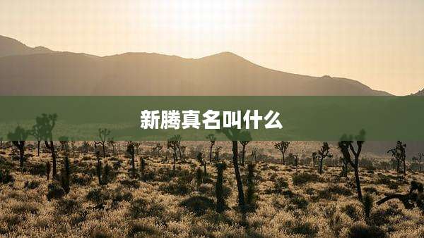 新腾真名叫什么