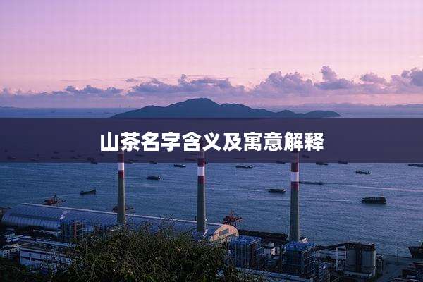 山茶名字含义及寓意解释