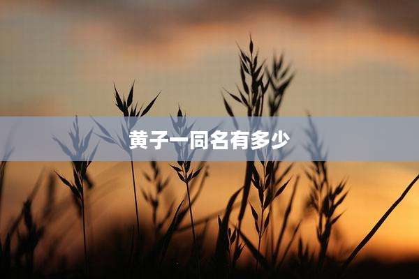 黄子一同名有多少