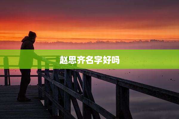 赵思齐名字好吗