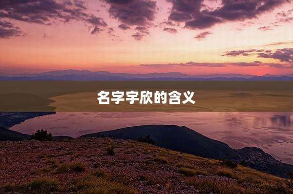 名字宇欣的含义