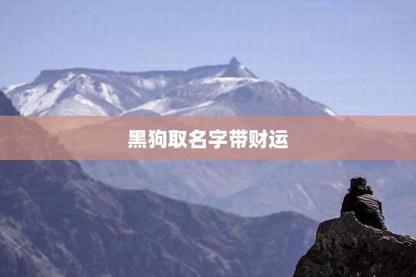 黑狗取名字带财运
