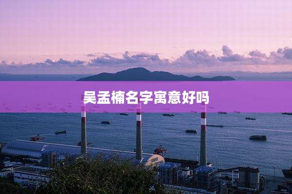 吴孟楠名字寓意好吗