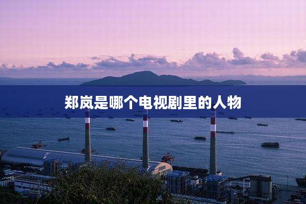 郑岚是哪个电视剧里的人物