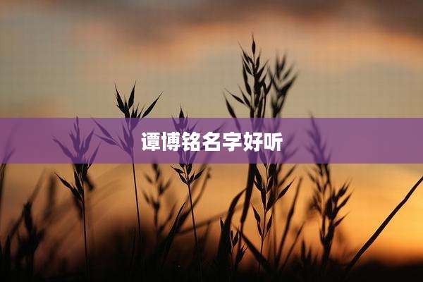 谭博铭名字好听
