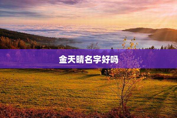 金天晴名字好吗
