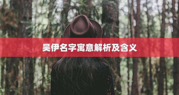 吴伊名字寓意解析及含义