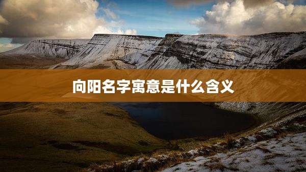 向阳名字寓意是什么含义