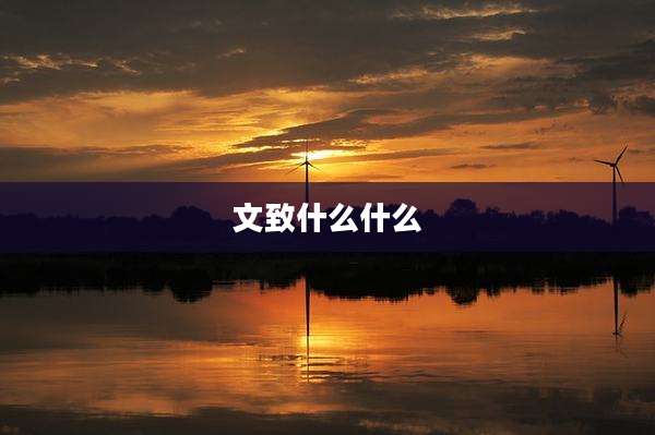 文致什么什么