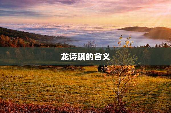 龙诗琪的含义
