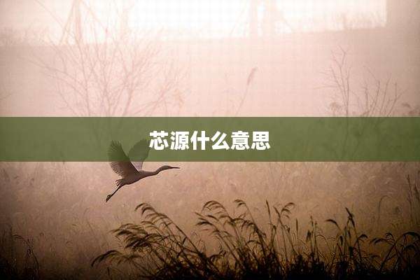 芯源什么意思