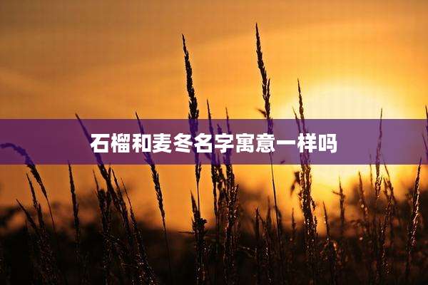 石榴和麦冬名字寓意一样吗