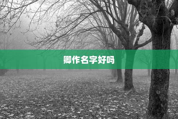 卿作名字好吗