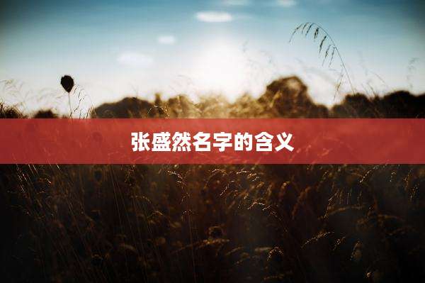 张盛然名字的含义