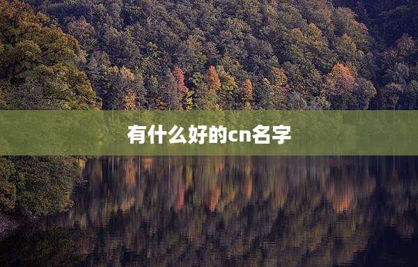 有什么好的cn名字