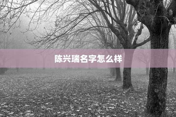 陈兴瑞名字怎么样