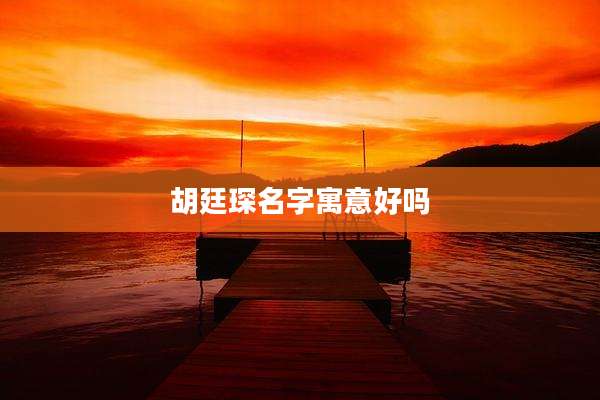 胡廷琛名字寓意好吗