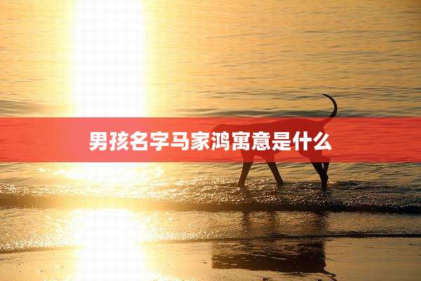 男孩名字马家鸿寓意是什么