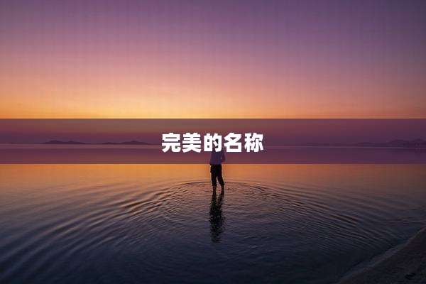 完美的名称
