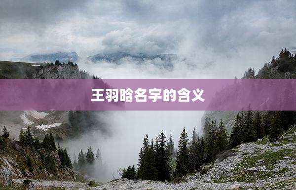 王羽晗名字的含义